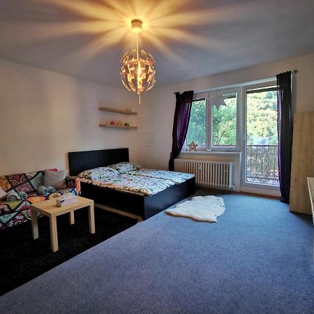 Cely Apartman Podlesi 54M2 S Dvema Balkony A S Novou Manzelskou Posteli, Zatim Neni Na Fotkach Lejlighed Brno Eksteriør billede