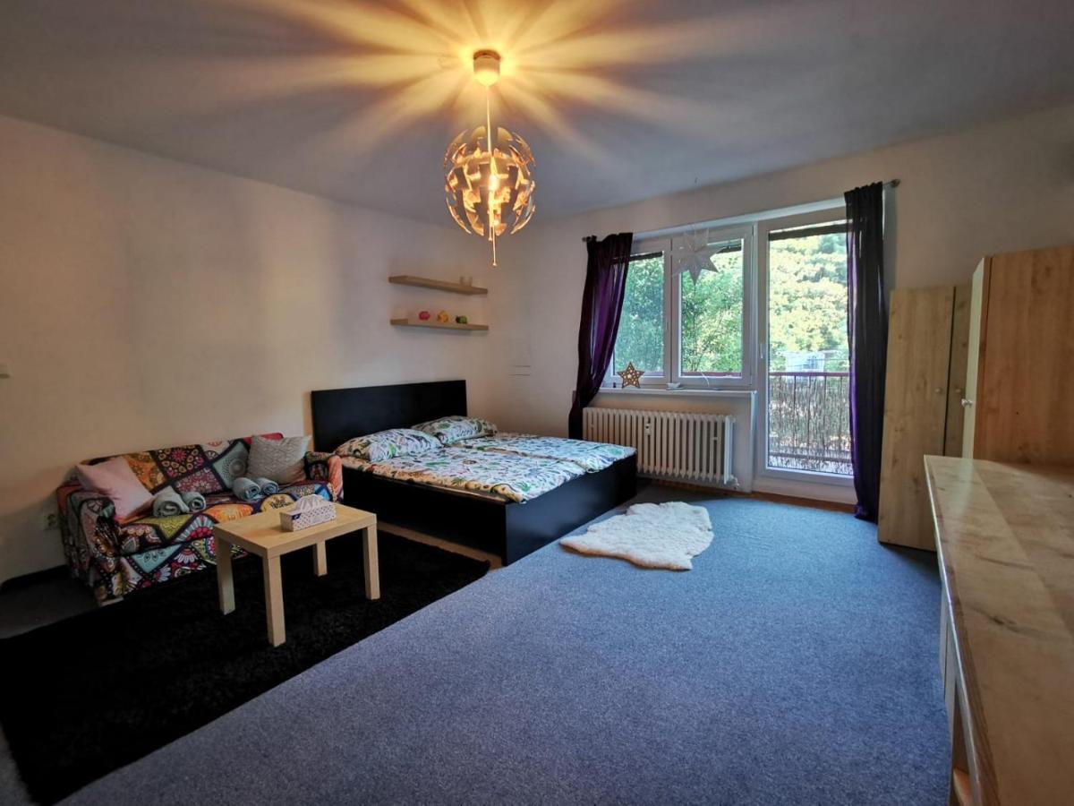 Cely Apartman Podlesi 54M2 S Dvema Balkony A S Novou Manzelskou Posteli, Zatim Neni Na Fotkach Lejlighed Brno Eksteriør billede